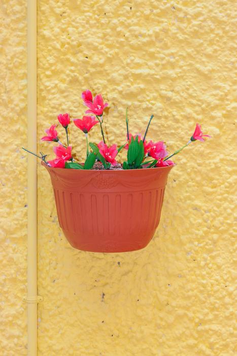 red flowerpot on the wall