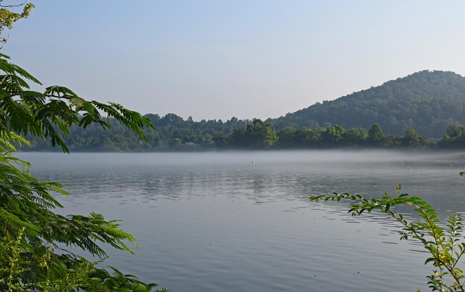the lake is beautiful against the background of bushes
