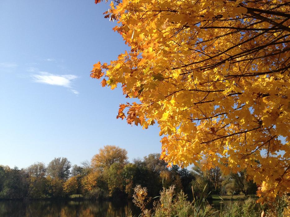 Autumn Sun Sky