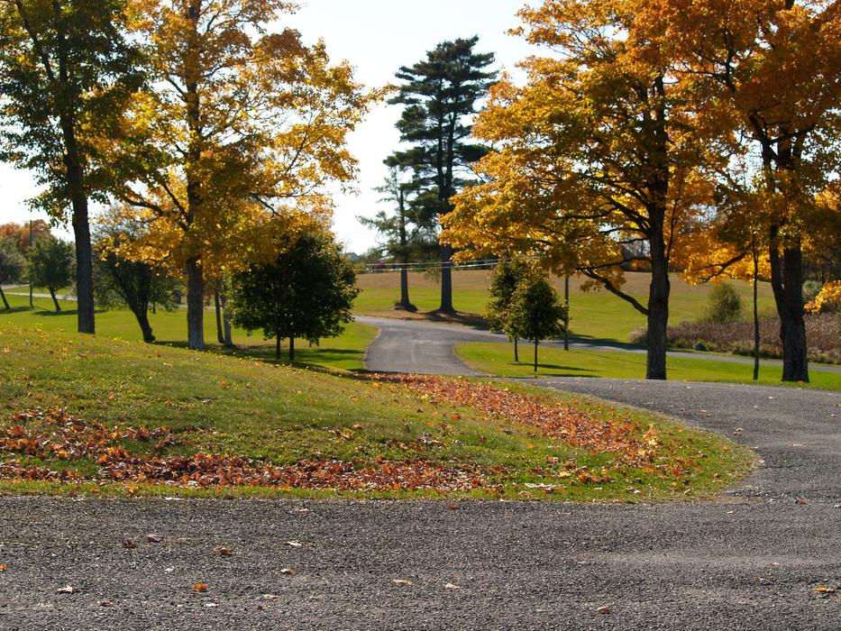 Autumn seasonal Nature landscape