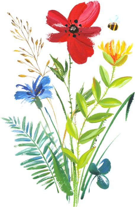 colorful flowers on a white background