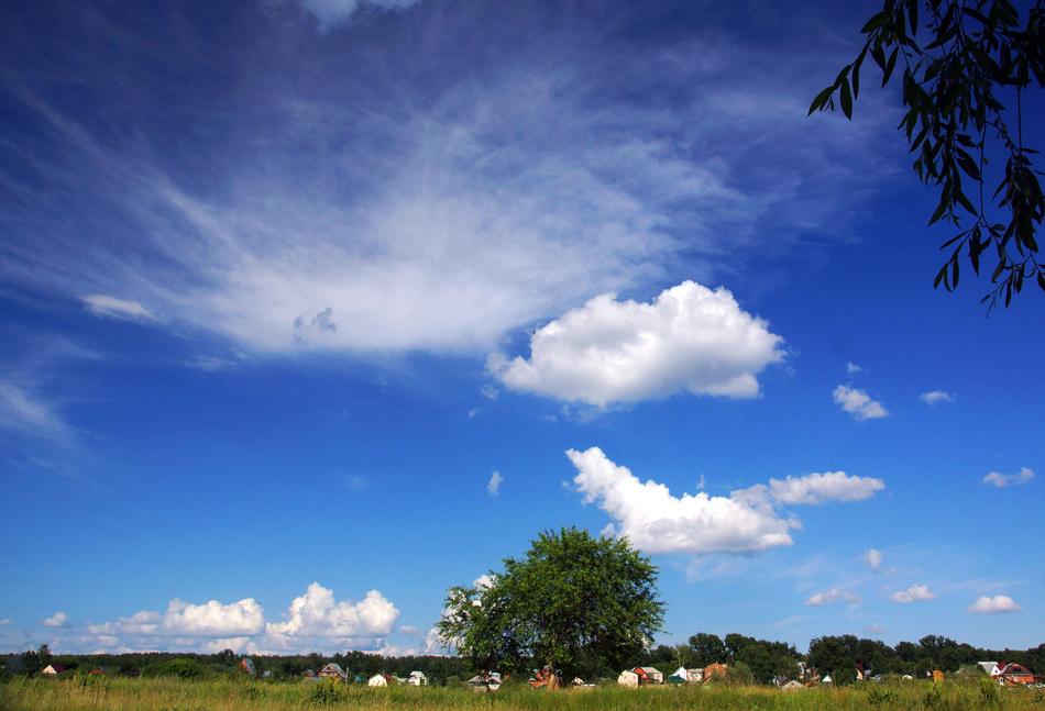 cloudy weather in the field