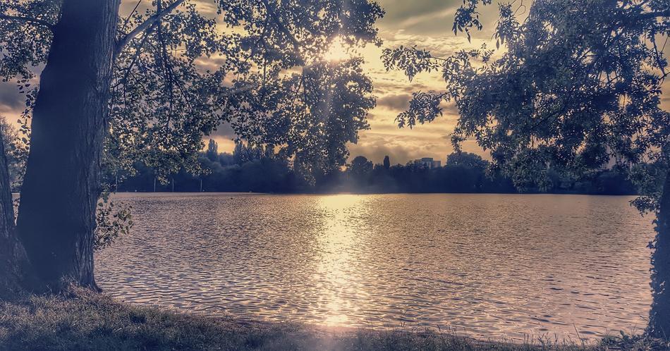 Lake Nature
