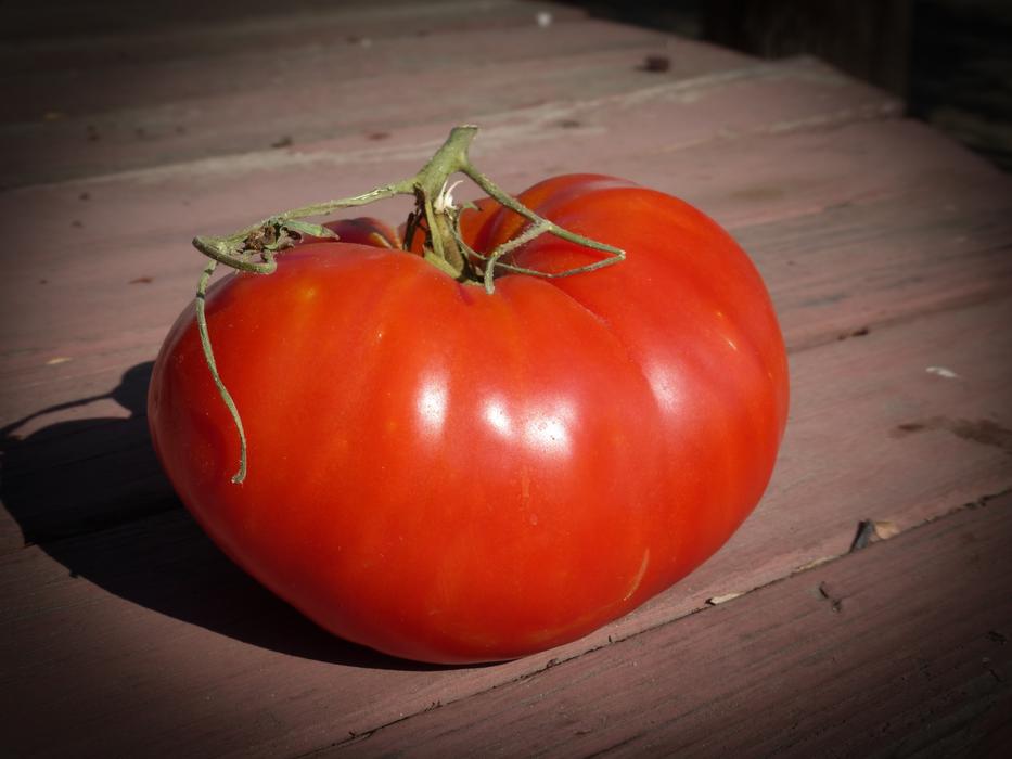 large fresh tomato