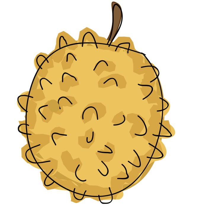 yellow prickly fruit
