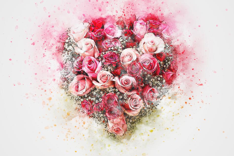 flowers roses bouquet art