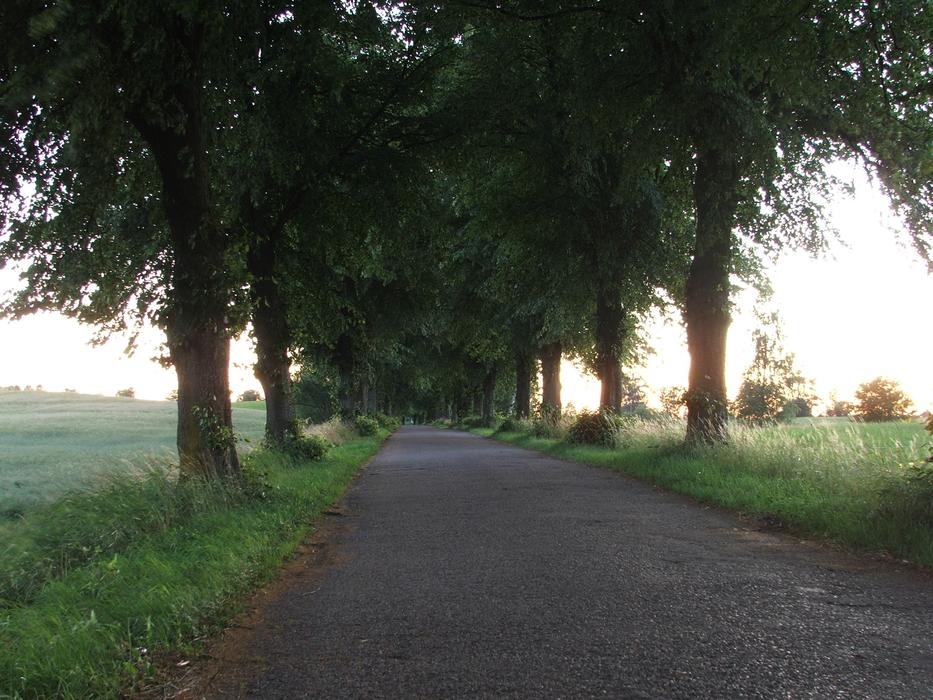 gray road in the sunlight