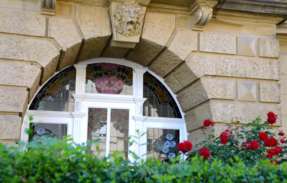 Beautiful green plants with colorful flowers near the art Nouveau building with windows