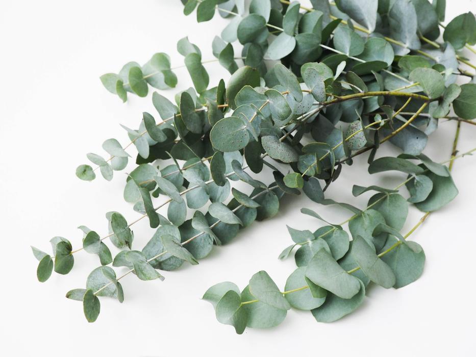 Artificial Green