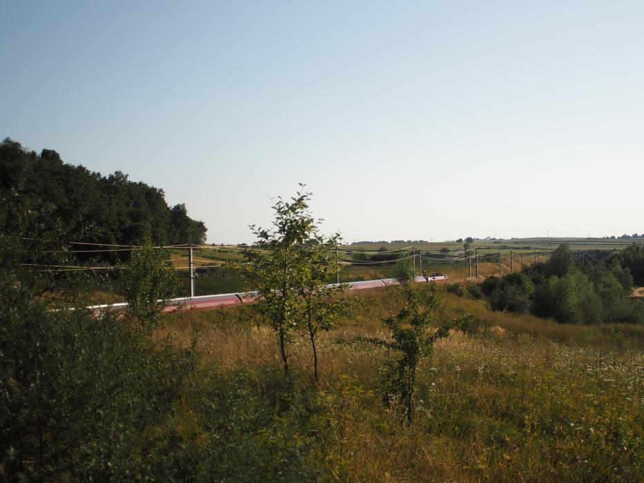 Railway Train Oebb