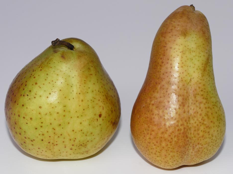 ripe sweet pear