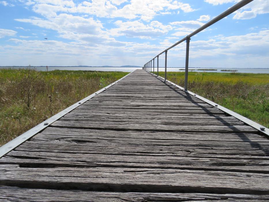 Perspective Wooden Green