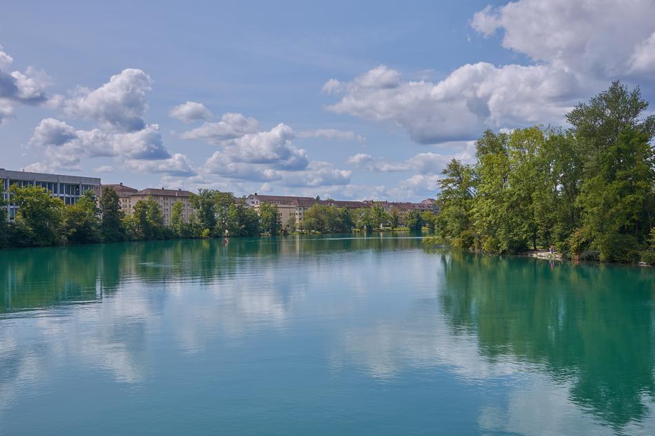 Aare River Bank