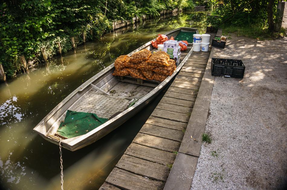 boat at the dock