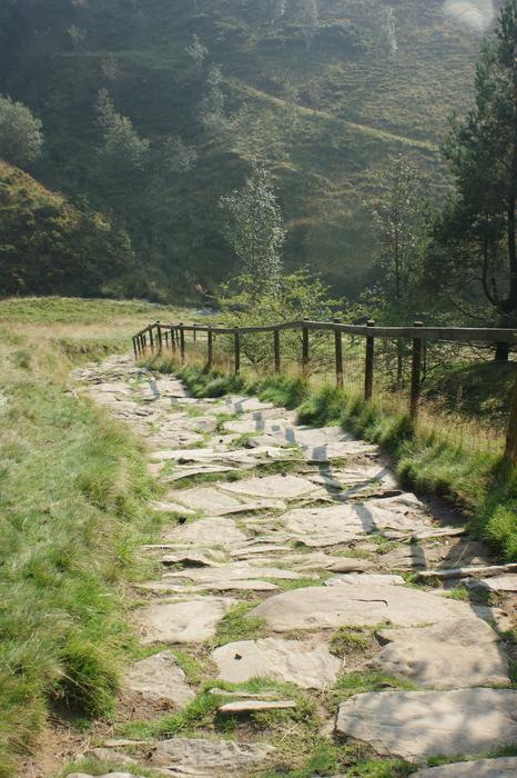Walking Rambling path