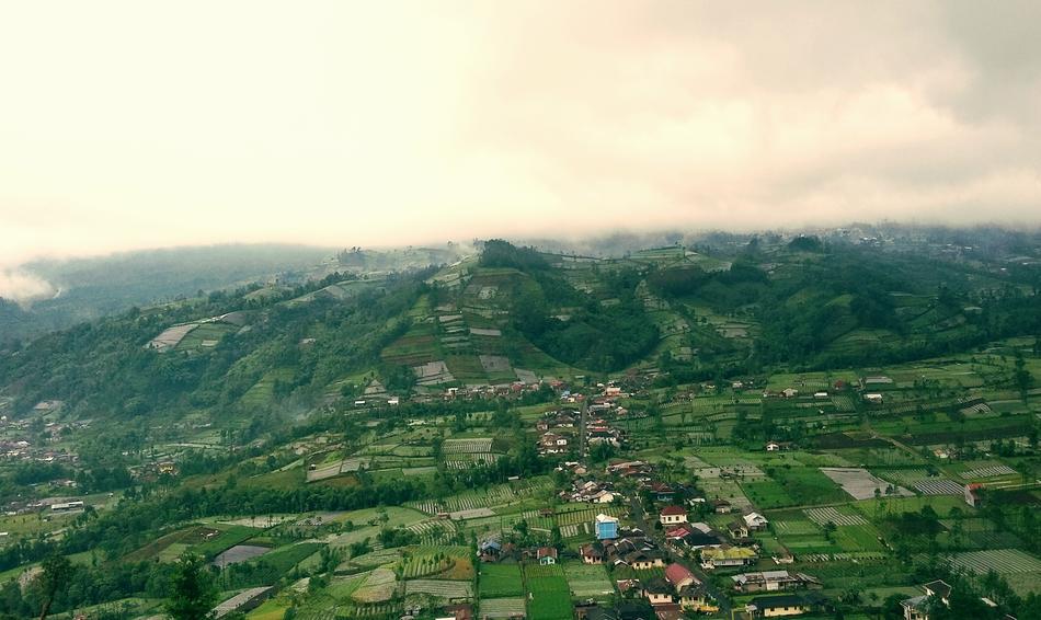 Landscape of Village fields