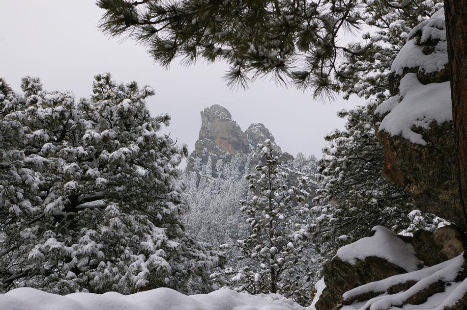 Snow Winter Landscape