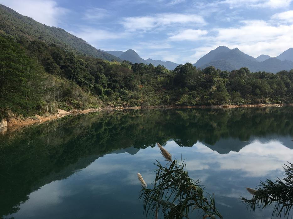 Landscape Reflection The