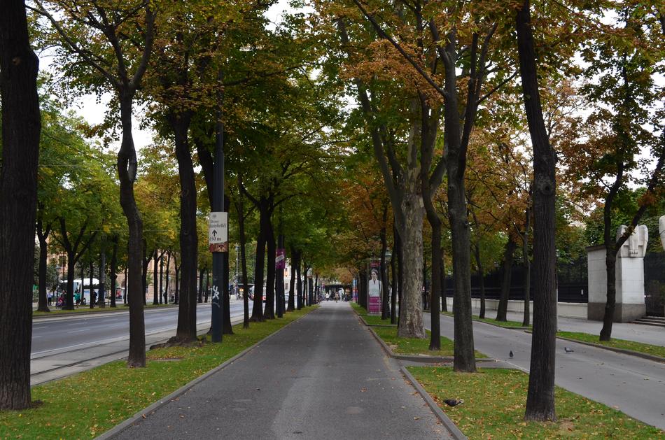 Forest Road