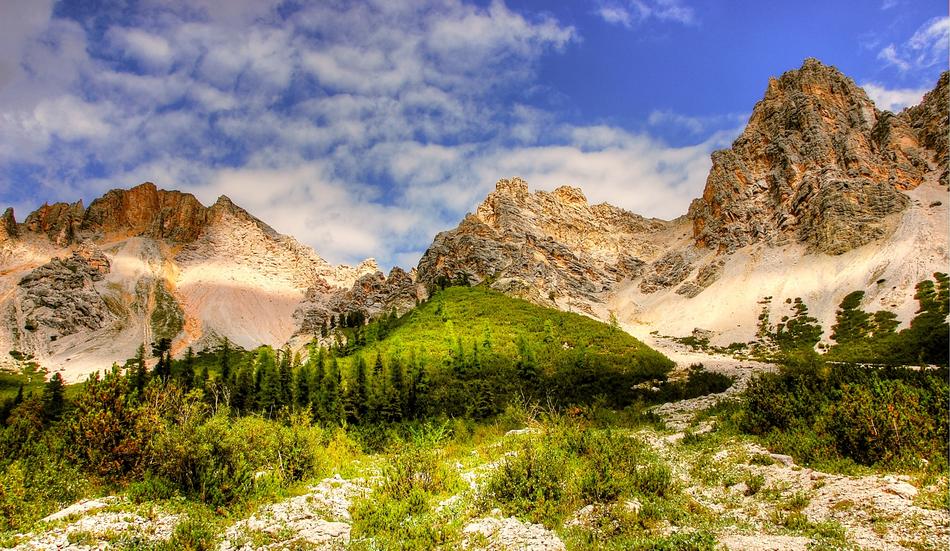 green fields in the trees and mountains
