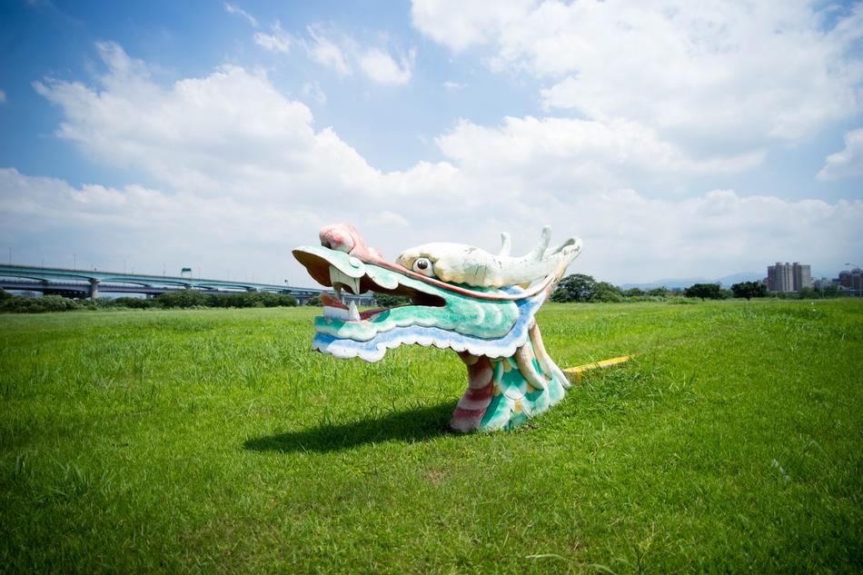 Green Grass Lawn