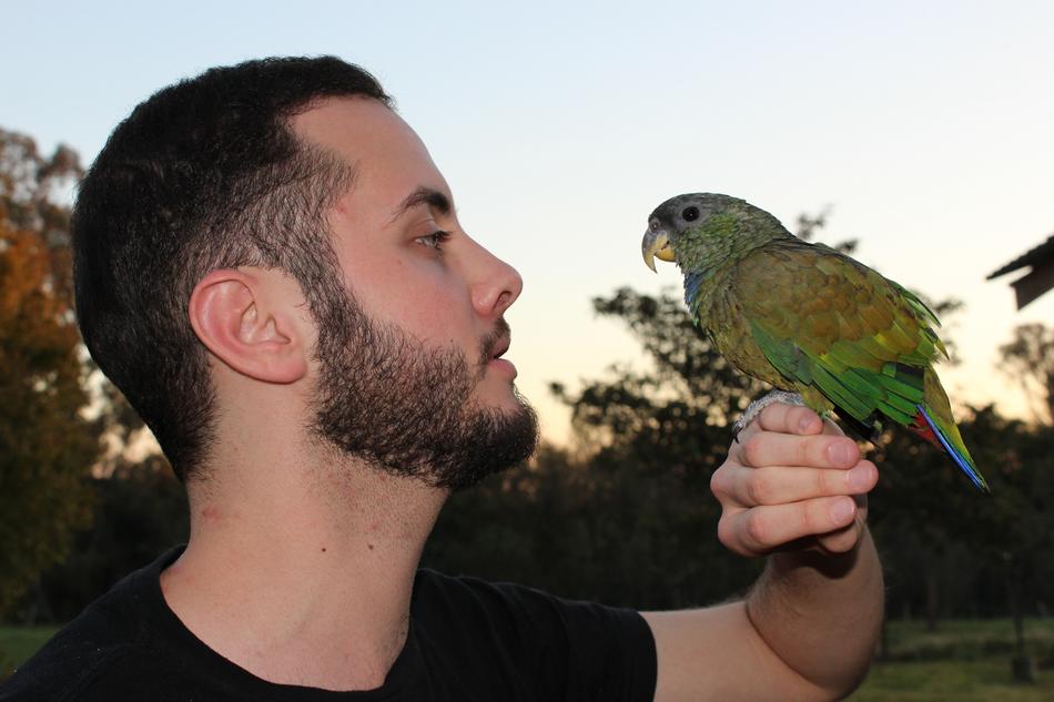 Parrot and man
