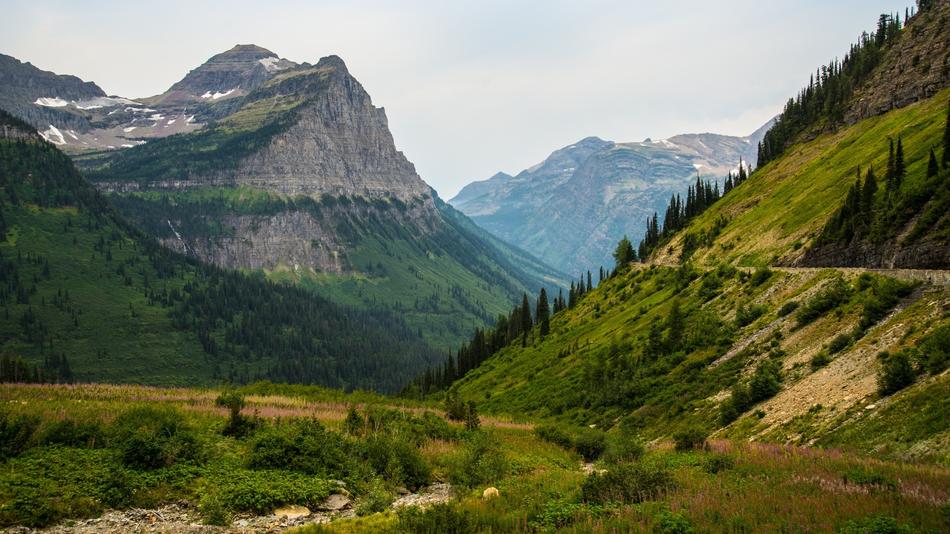 large rocks with trees landscape
