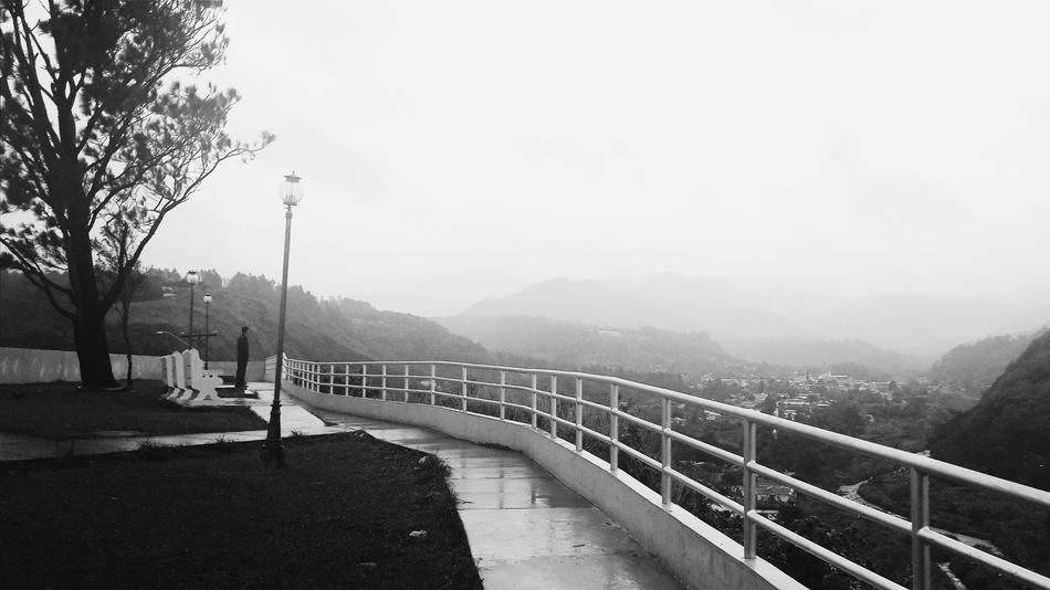 black and white photo in the fog