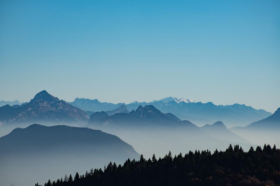 Mountain Highland Trees