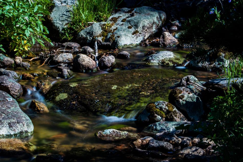 water rocks grass