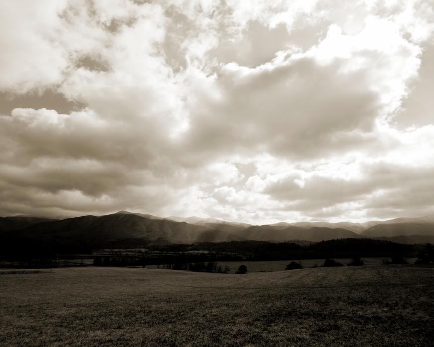 Trees Grass Mountain