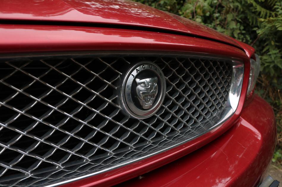 Jaguar Auto Detail Pkw