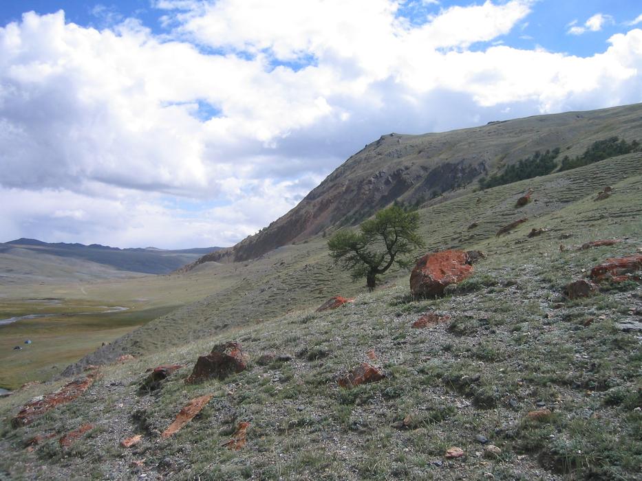 Altai Valley Panoramic