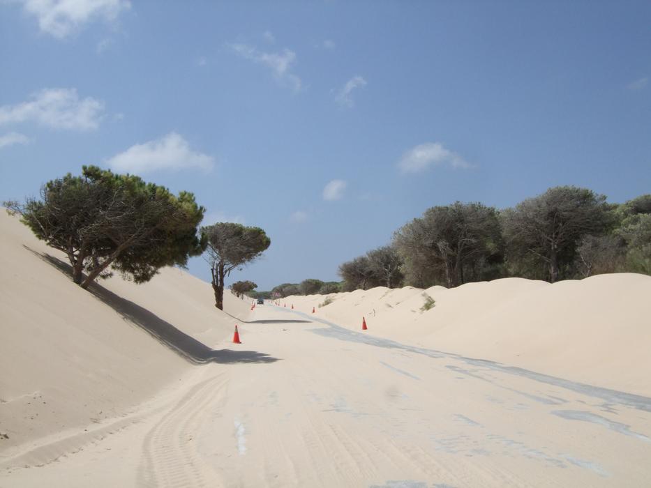 sand road