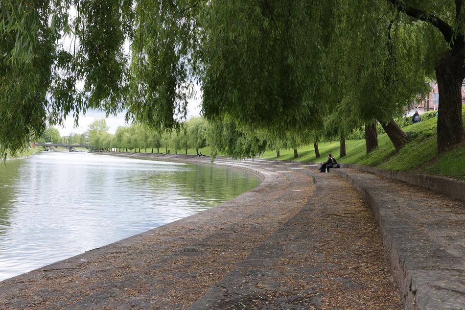 people under the trees near the river in the park