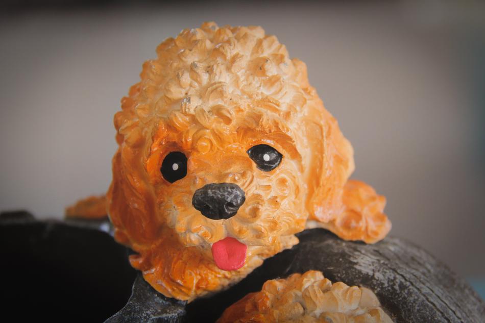 Doll Dog Stucco macro