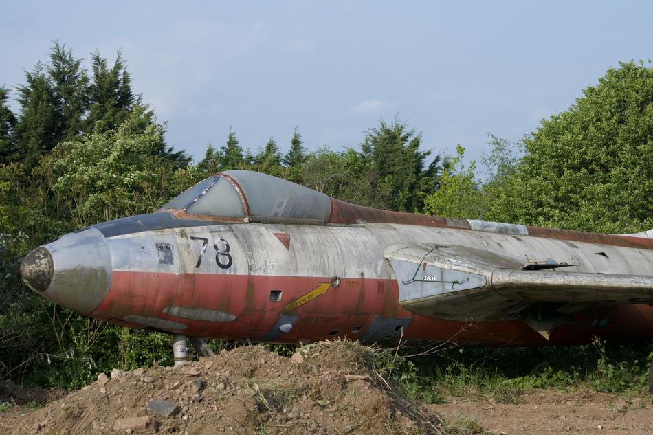 an old airplane in the trees