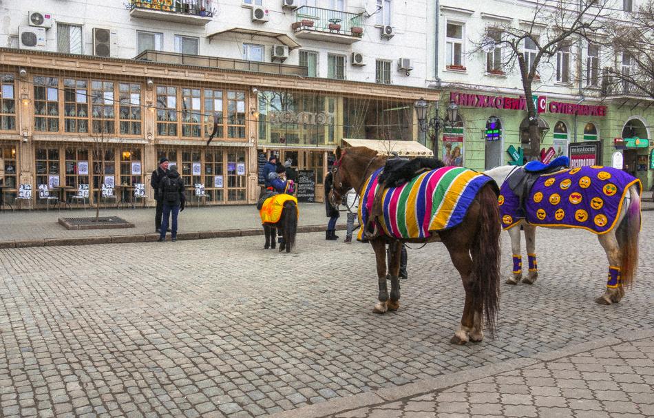 horseback riding for tourists in Odessa