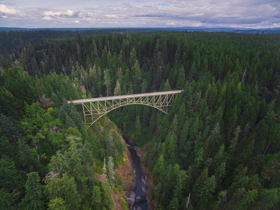 high bridge in the forest