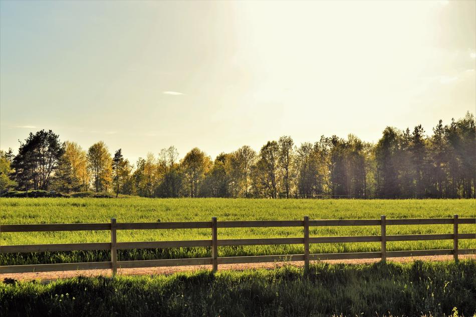 Fence on the field at sunlight