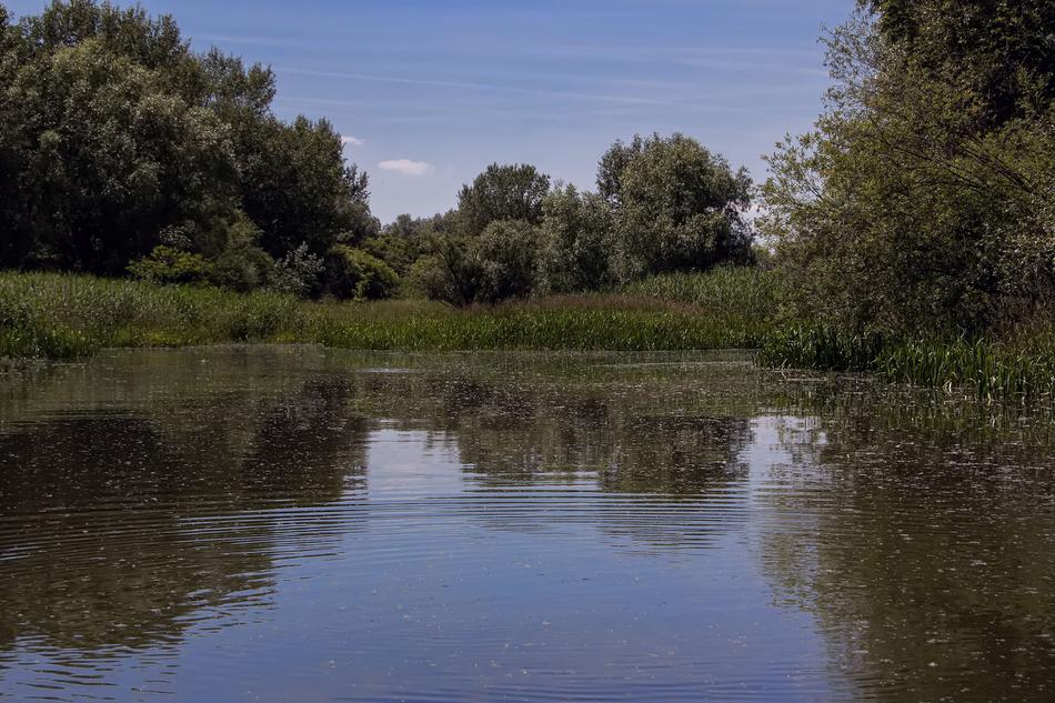 Danube Slovakia Nature