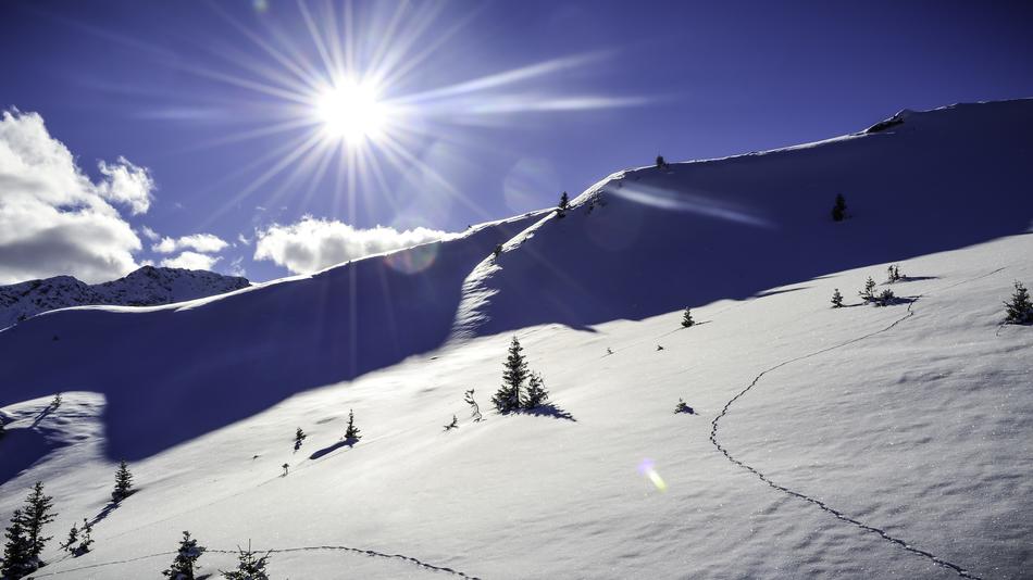 Snow Landscape at Winter