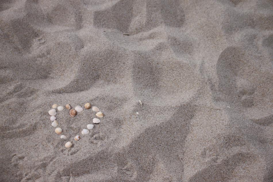a shell heart on the beach