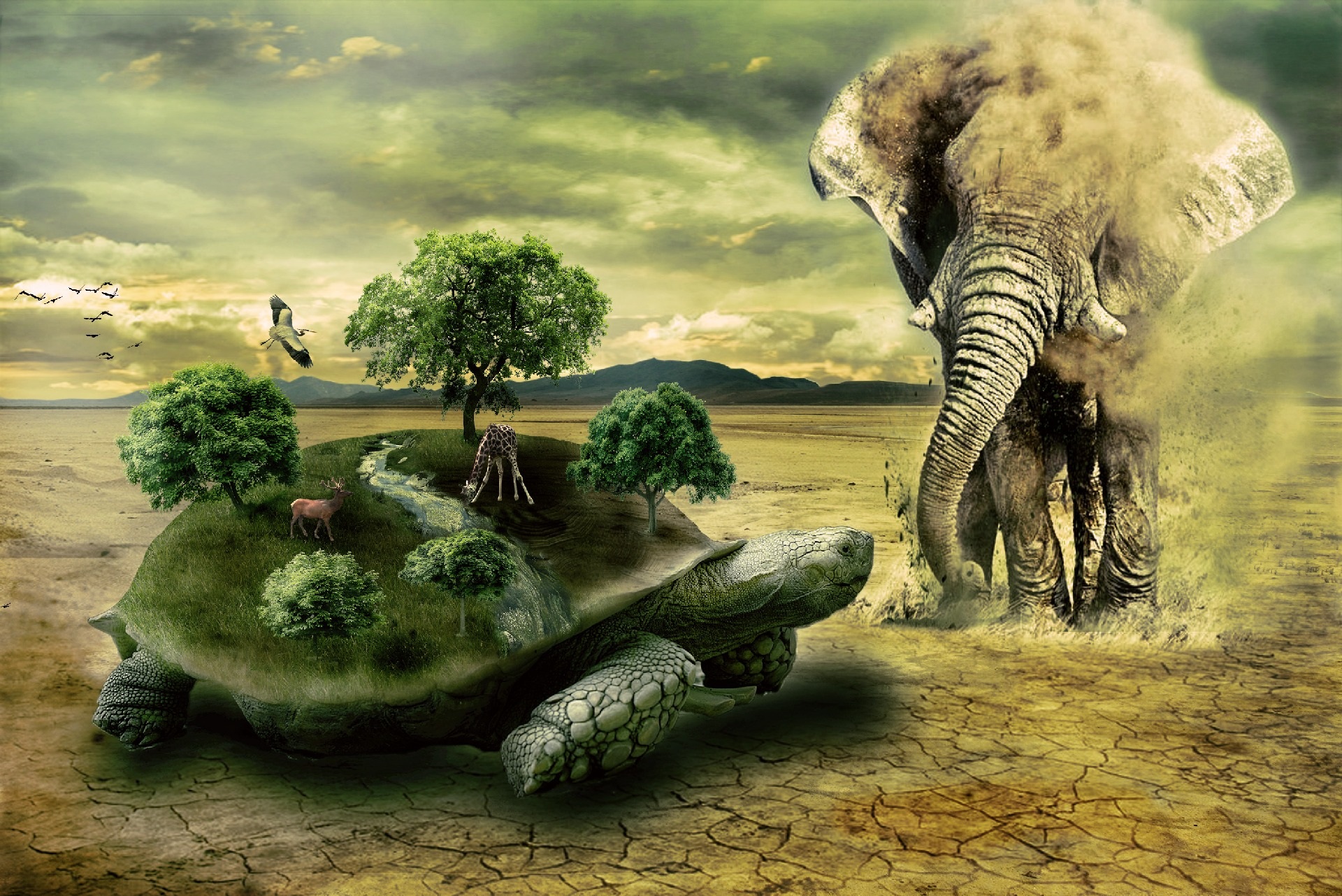 Turtle Elephant Animal free image download