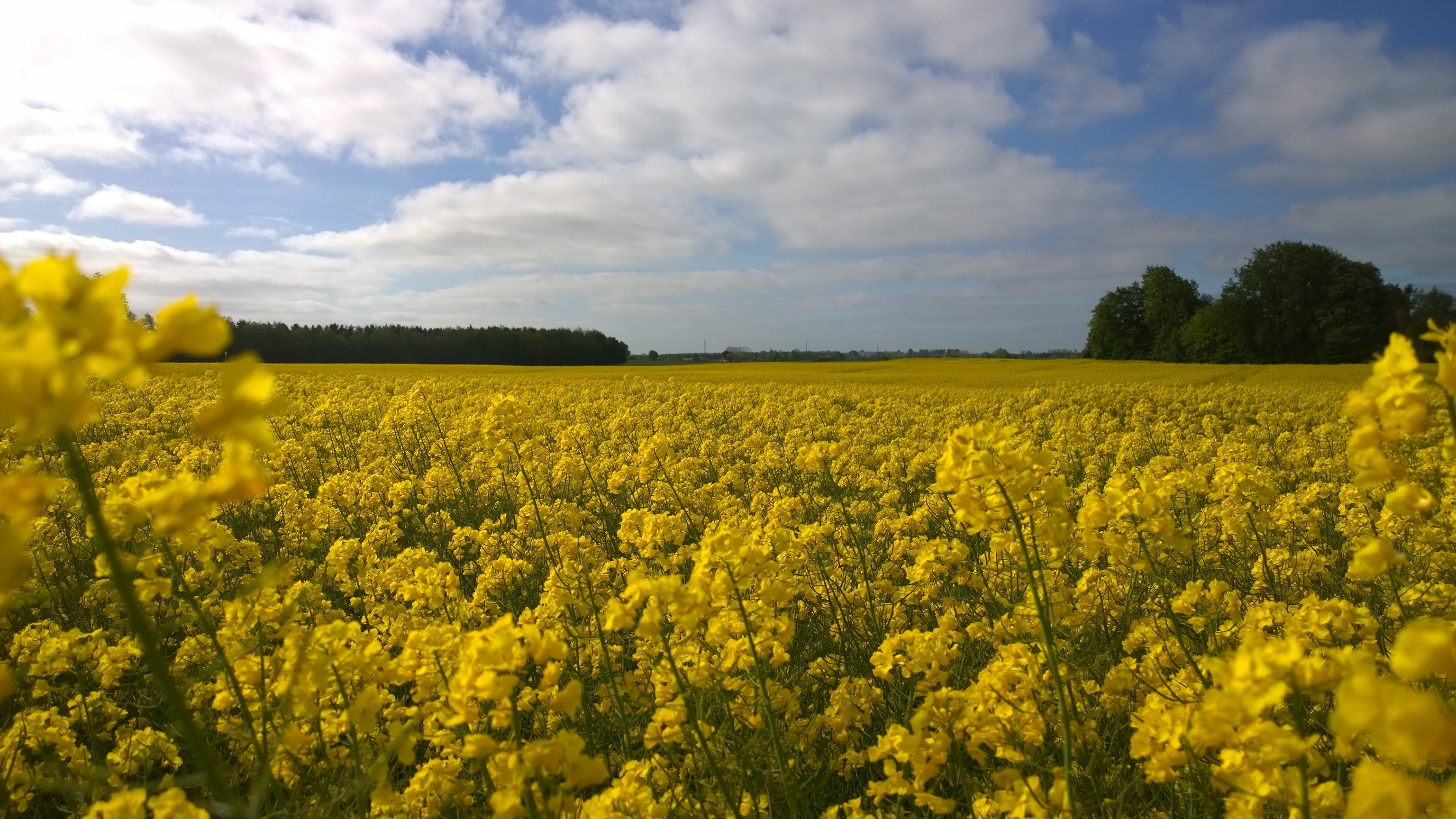 cloud-horizon-view-free-image-download