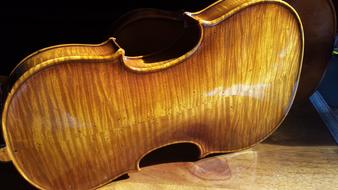 violin Beauty Art wood