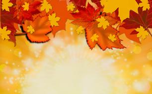 autumn fall background yellow orange