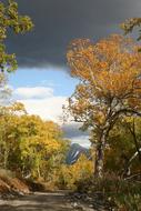 autumn magnificent landscape is beautiful
