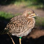 Bird Zoo Valencia