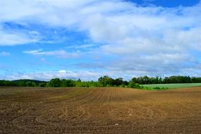 Farmland Spring Planting